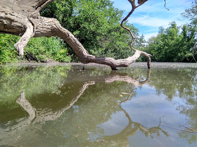 Drakes Park