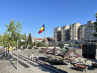 Drapelul Travel Forum Reviews