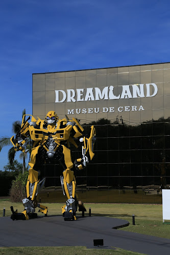 Dreams Park Show