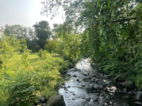 Drexel Gardens Park Travel Forum Reviews