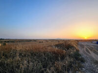 Dromolaxia - Byzakia Excavation Site Travel Forum Reviews