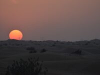 Dubai Red Dunes quad bike ticket Review