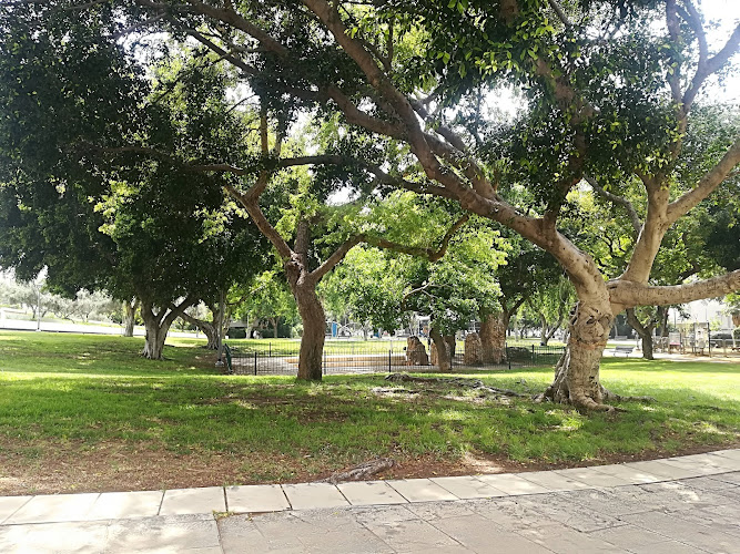 Dubnov Garden