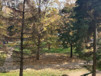 Dubočica Park Travel Forum Reviews