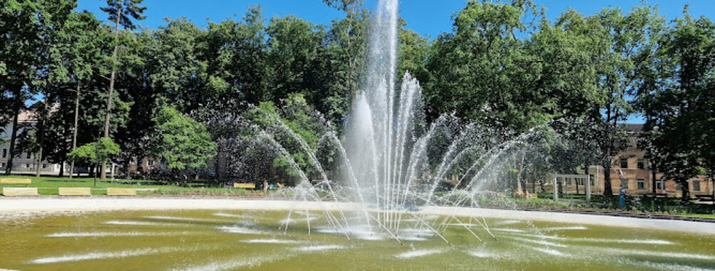 Dubrovin Park Travel Forum Reviews
