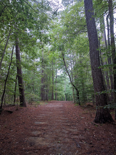 Duke Forest