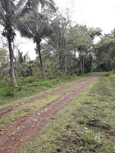 Dullan Sur