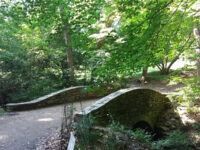 Dumbarton Oaks Park Travel Forum Reviews