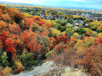 Dundas Peak Travel Forum Reviews