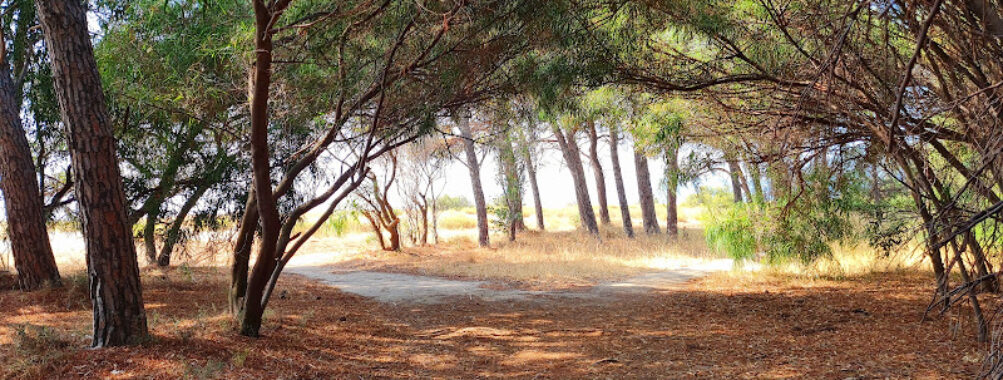 Dune di Giovino Travel Forum Reviews