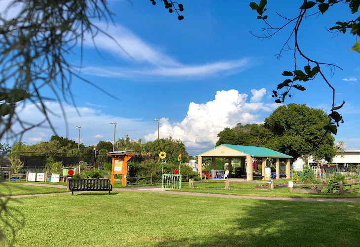 Dunedin Community Garden