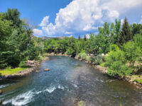 Durango State Fish Hatchery Travel Forum Reviews