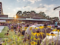 Durham Central Park Travel Forum Reviews
