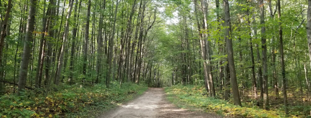 Durham Regional Forest Travel Forum Reviews