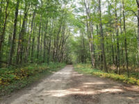 Durham Regional Forest Travel Forum Reviews
