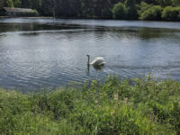 Durrockstock Park - Local Nature Reserve Travel Forum Reviews