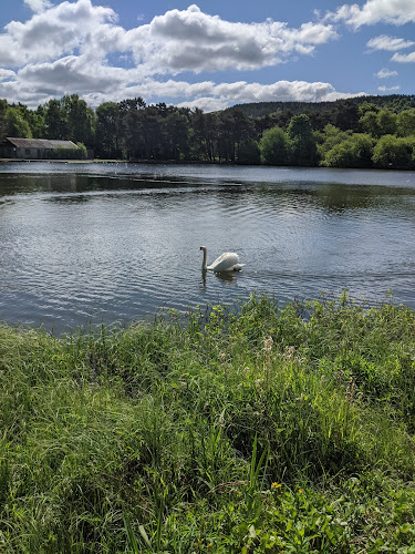 Durrockstock Park - Local Nature Reserve