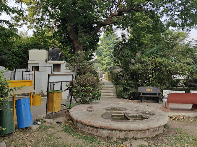 Dutch Garden