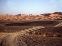EL Amraoui Desert Tours Sarl Travel Forum Reviews