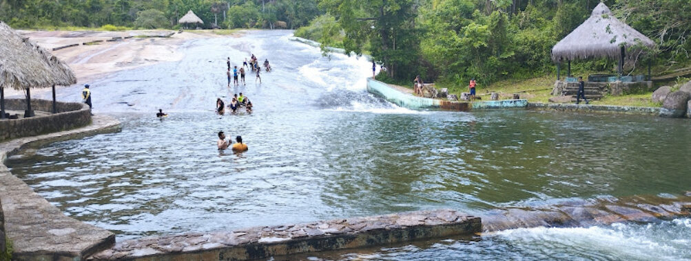 EL PORTAL DEL TOBOGAN DE LA SELVA Travel Forum Reviews