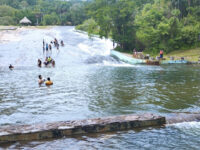 EL PORTAL DEL TOBOGAN DE LA SELVA Travel Forum Reviews