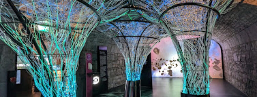 EPIC The Irish Emigration Museum Travel Forum Reviews