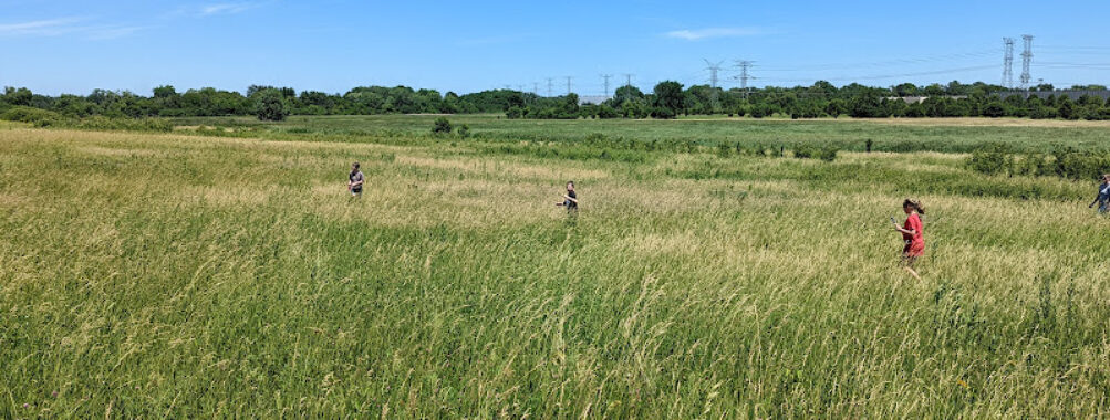 East Branch Forest Preserve Travel Forum Reviews