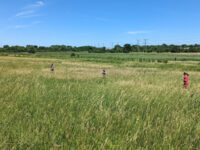 East Branch Forest Preserve Travel Forum Reviews