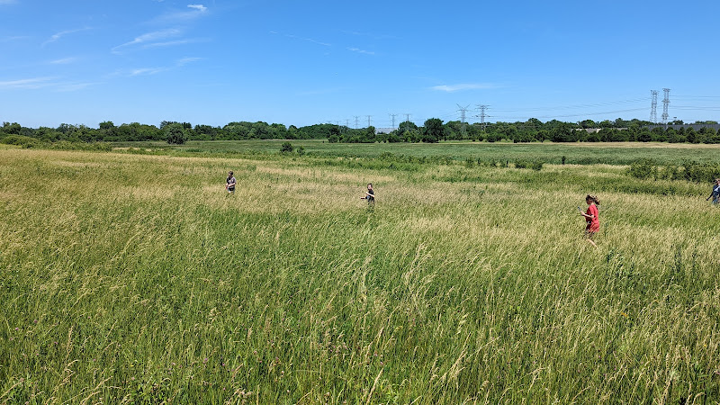 East Branch Forest Preserve Travel Forum Reviews