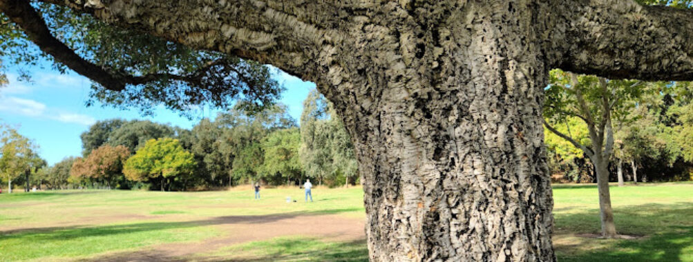 East La Loma Park Travel Forum Reviews