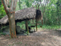 Eco Park Xanath - Papantla Travel Forum Reviews