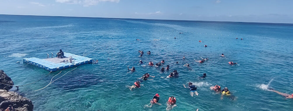 Eco Parque West View Travel Forum Reviews