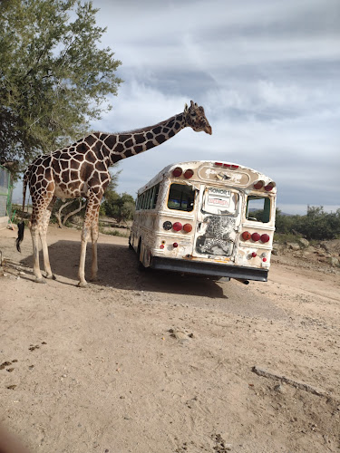 Ecological Center of Sonora