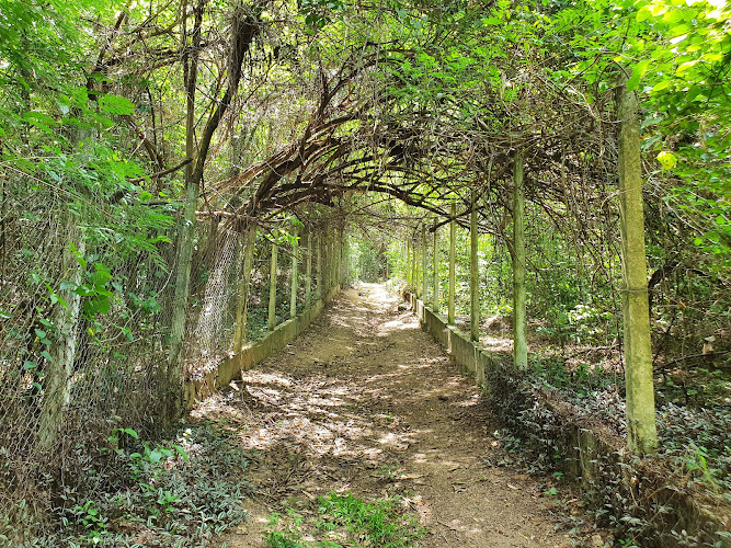 Ecological Park of Matao