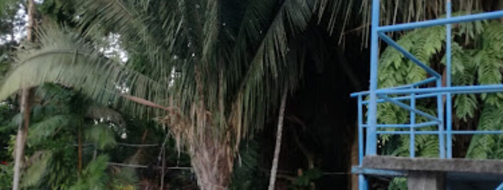 Ecoturistico Tambopata Corridor Kiajabake Bame Travel Forum Reviews