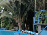 Ecoturistico Tambopata Corridor Kiajabake Bame Travel Forum Reviews