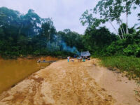 Ecuador & Amazon | Henry Eco Tours Travel Forum Reviews
