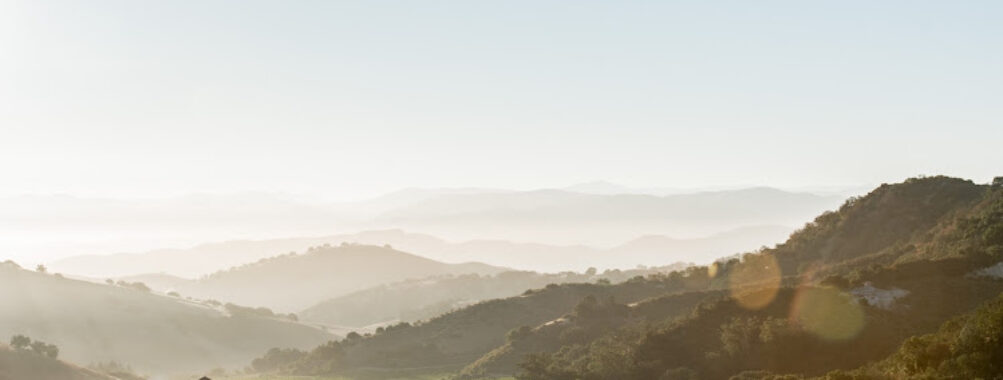 Eden Rift Vineyards Travel Forum Reviews