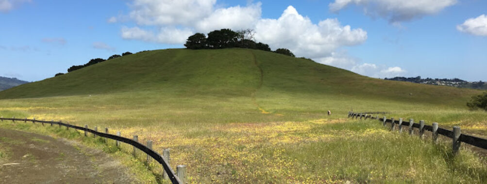Edgewood Park & Natural Preserve Travel Forum Reviews