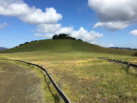 Edgewood Park & Natural Preserve Travel Forum Reviews