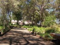 Edith Morley Park Travel Forum Reviews