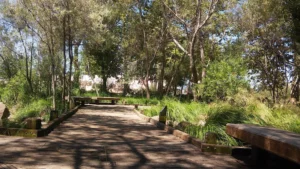 Edith Morley Park