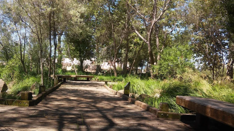 Edith Morley Park