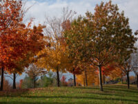 Edward Janiszewski Park Travel Forum Reviews