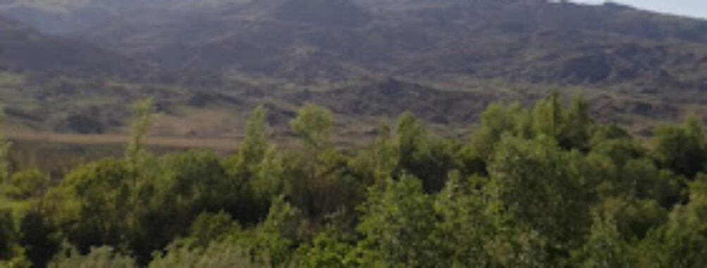 Eğrekdere Travel Forum Reviews