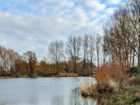 Eiland van Brienenoord Travel Forum Reviews