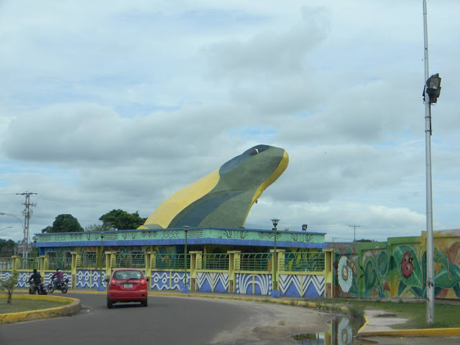 El Aparo