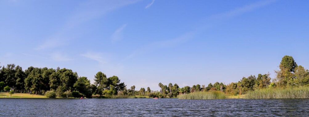 El Dorado East Regional Park"So many fun things to do." Reviews
