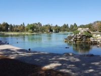 El Dorado Park West Travel Forum Reviews