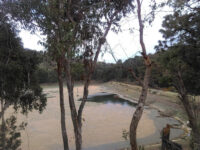 El Ocotal Travel Forum Reviews